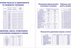 Тематические стенды и плакаты