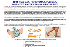 Тематические стенды и плакаты