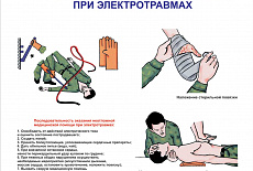 Тематические стенды и плакаты