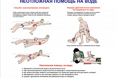 Тематические стенды и плакаты
