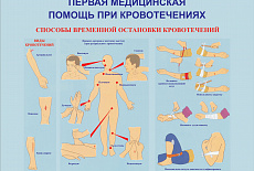 Тематические стенды и плакаты