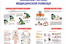 Тематические стенды и плакаты