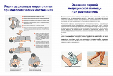 Тематические стенды и плакаты