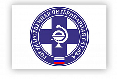 Изготовление флагов