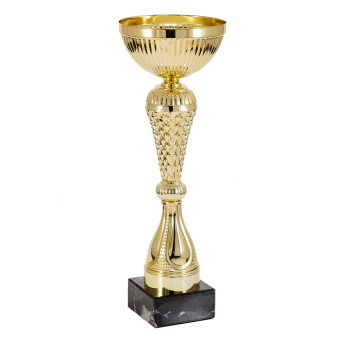 Кубок 303-280-100 "Скорость"