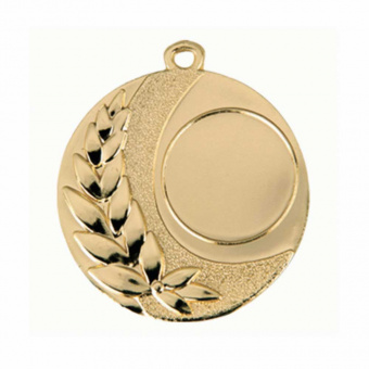 Заготовка медали 002.01 золото