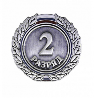 Значок 2 разряд