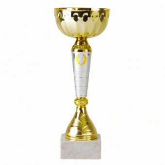 Кубок 9035 B