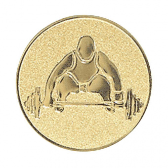 Вкладыш A2-146 "Штанга", золото