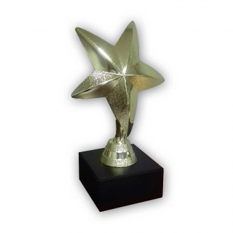 Приз F 220 "Звезда"