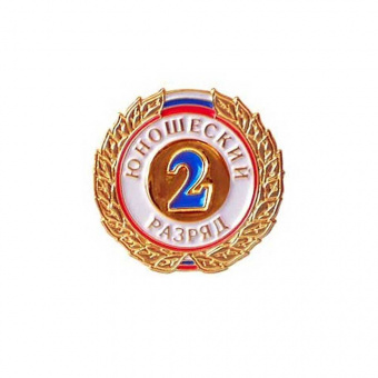 Значок 2 юношеский разряд